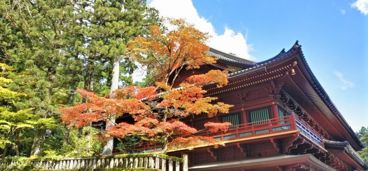 Nikko