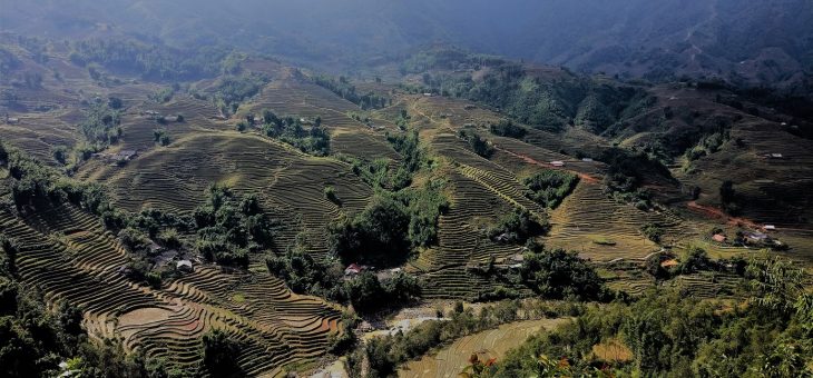Sapa