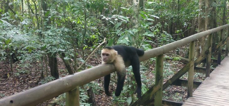 Parque Nacional Manuel Antonio
